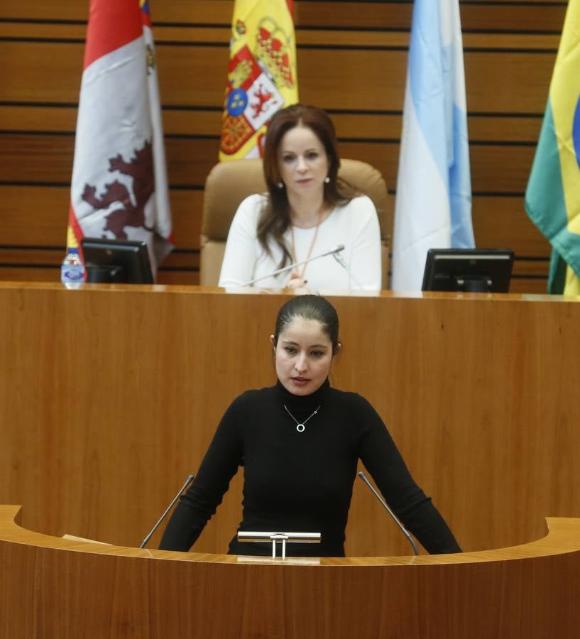 Acto del 34 aniversario del Estatuto de Autonomía de Castilla y León