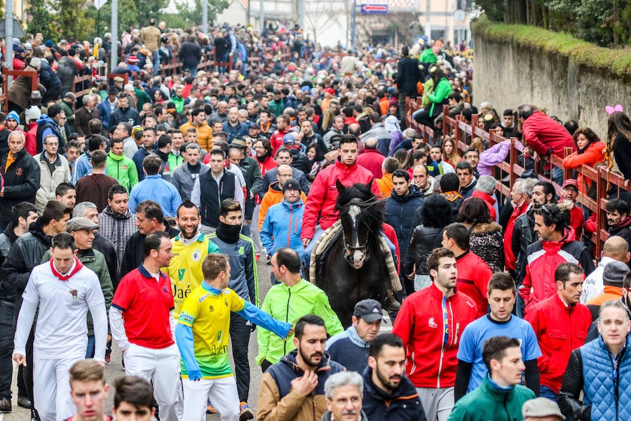 Encierro y capea en Ciudad Rodrigo