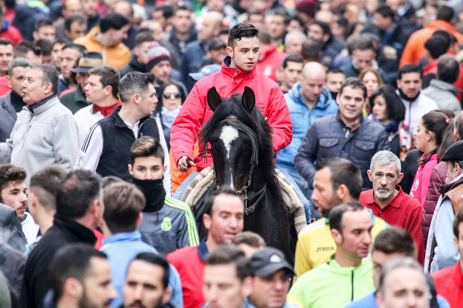 Encierro y capea en Ciudad Rodrigo