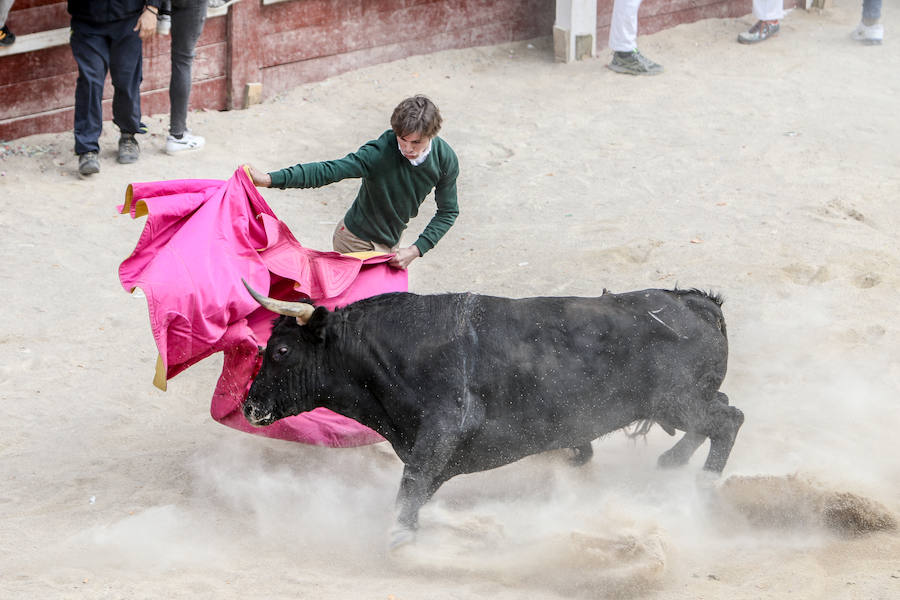 Encierro y capea el lunes de carnaval en Ciudad Rodrigo