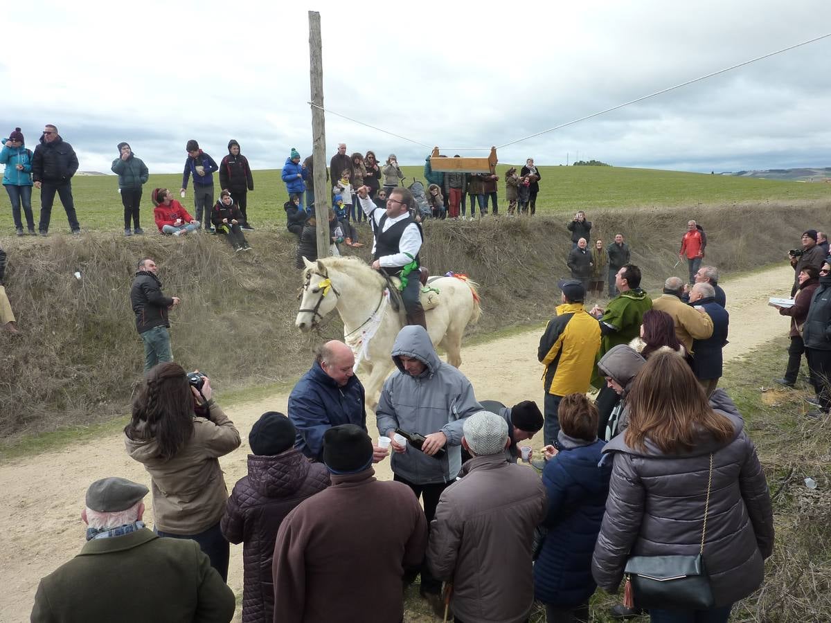 Carrera de cintas a caballo de Torrelobatón (Valladolid)