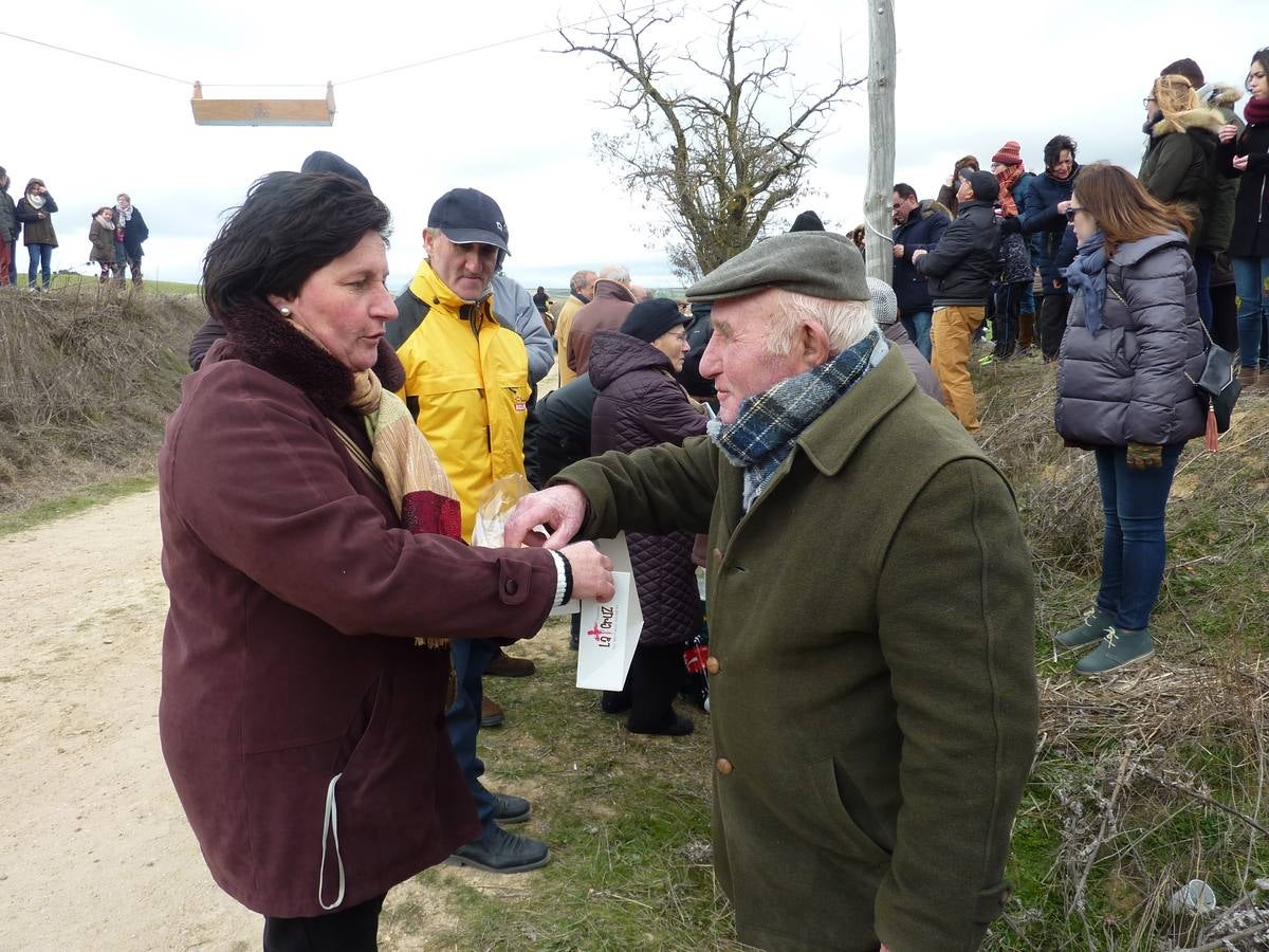 Carrera de cintas a caballo de Torrelobatón (Valladolid)