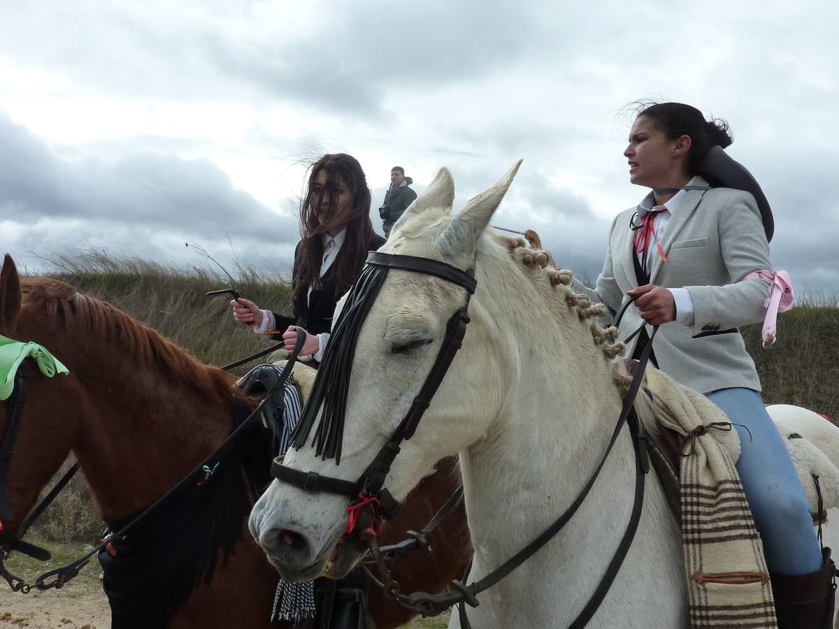 Carrera de cintas a caballo de Torrelobatón (Valladolid)