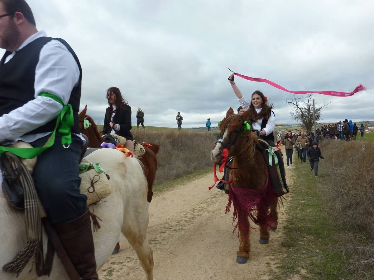 Carrera de cintas a caballo de Torrelobatón (Valladolid)