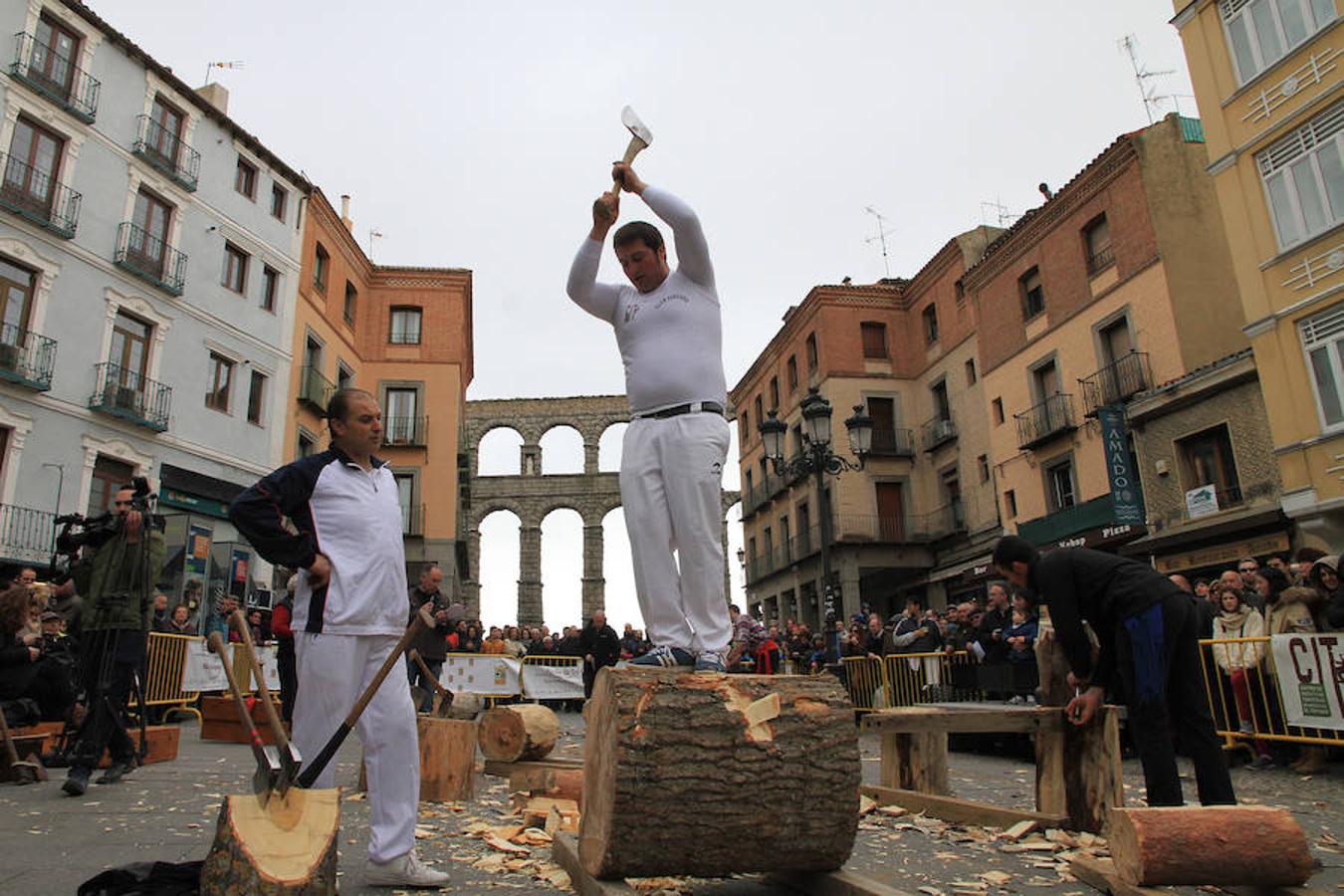 Fiesta de los gabarreros en Segovia