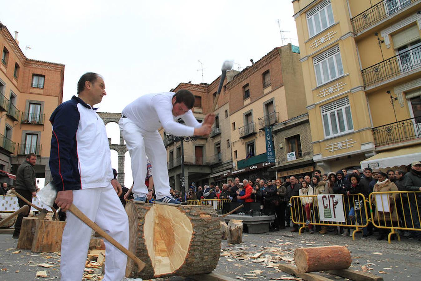 Fiesta de los gabarreros en Segovia