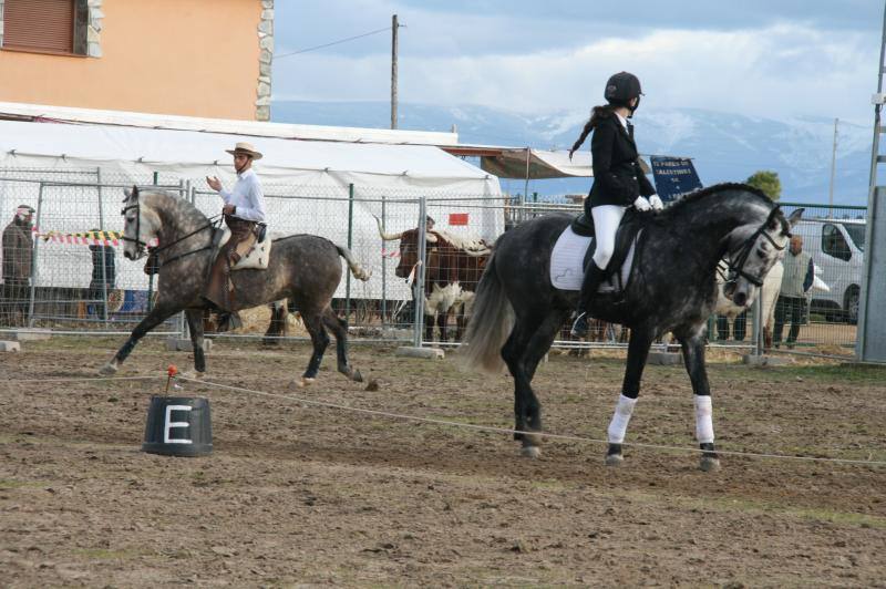 Feria del Ángel de Fuentepelayo (Segovia)