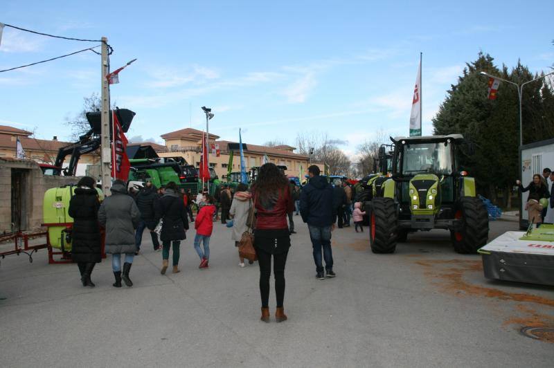 Feria del Ángel de Fuentepelayo (Segovia)