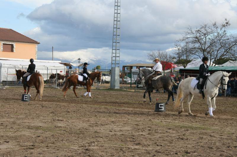 Feria del Ángel de Fuentepelayo (Segovia)