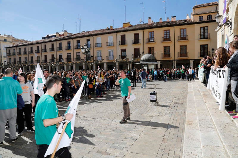 Palencia apoya la huelga en Educación