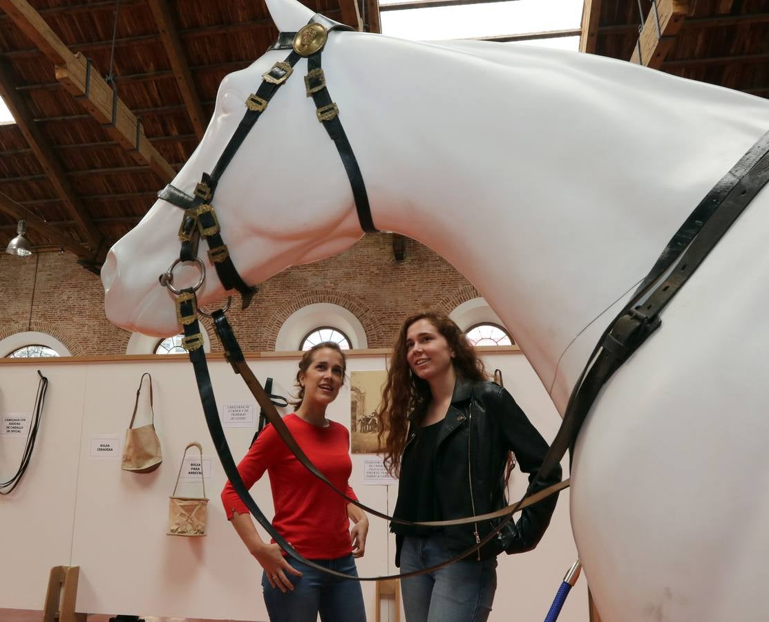 Homenaje al caballo en la Academia de Caballería de Valladolid