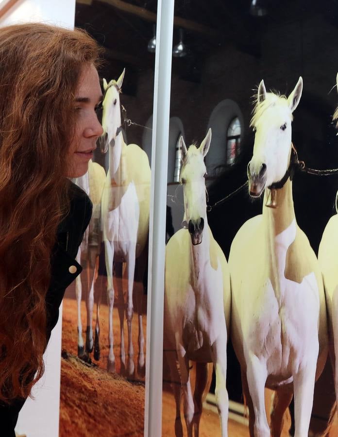 Homenaje al caballo en la Academia de Caballería de Valladolid