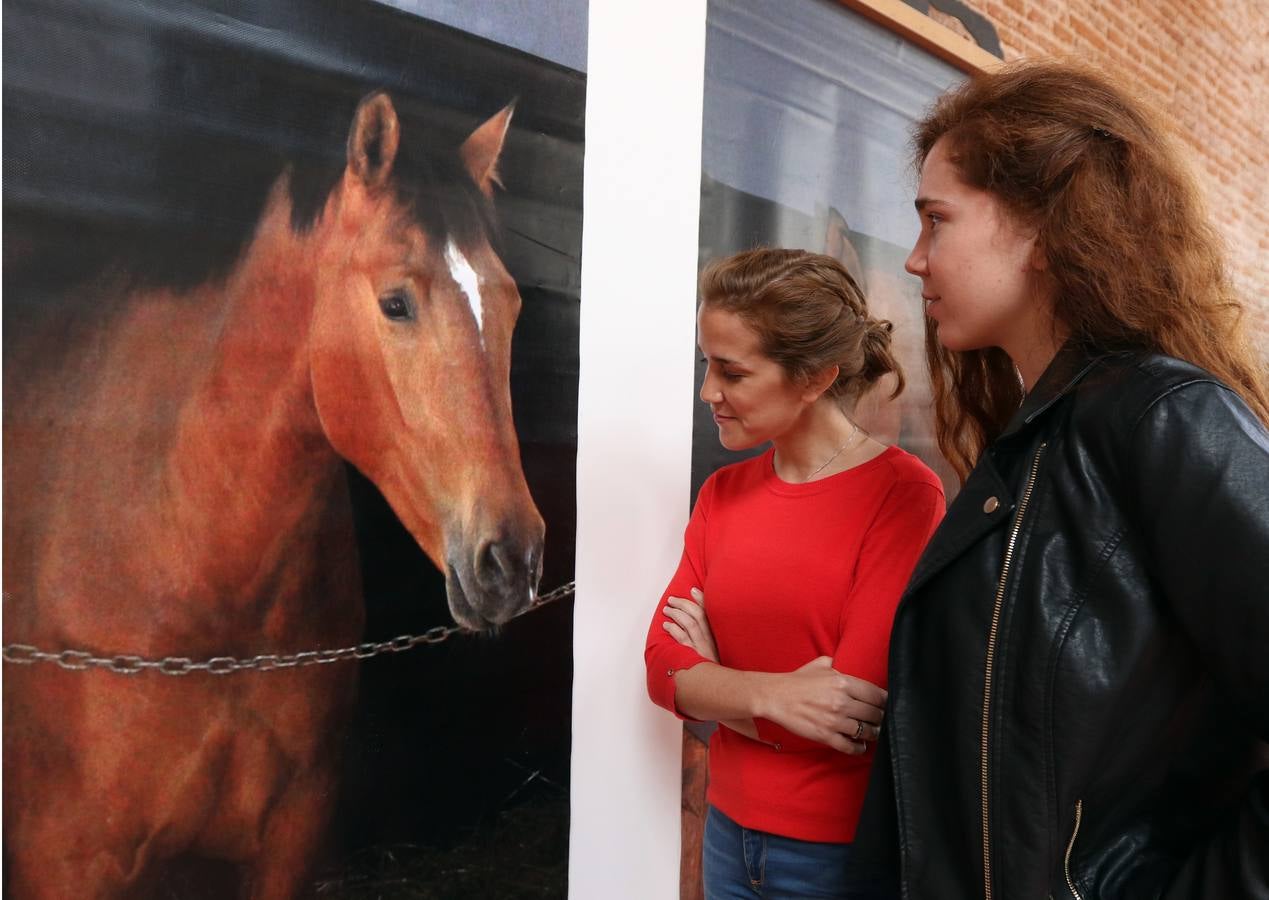 Homenaje al caballo en la Academia de Caballería de Valladolid