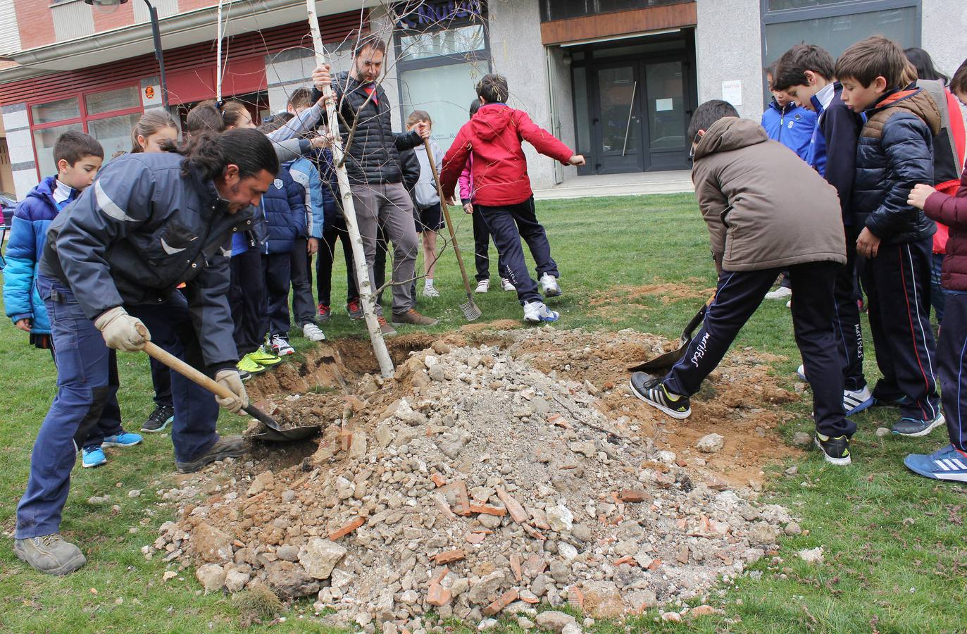 Escolares palentinos celebran el Día del Árbol