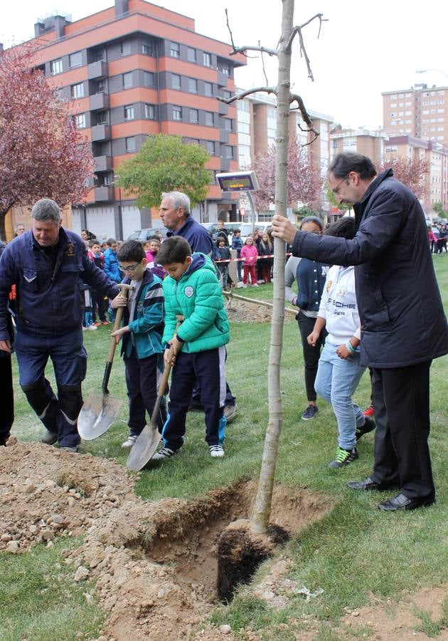 Escolares palentinos celebran el Día del Árbol