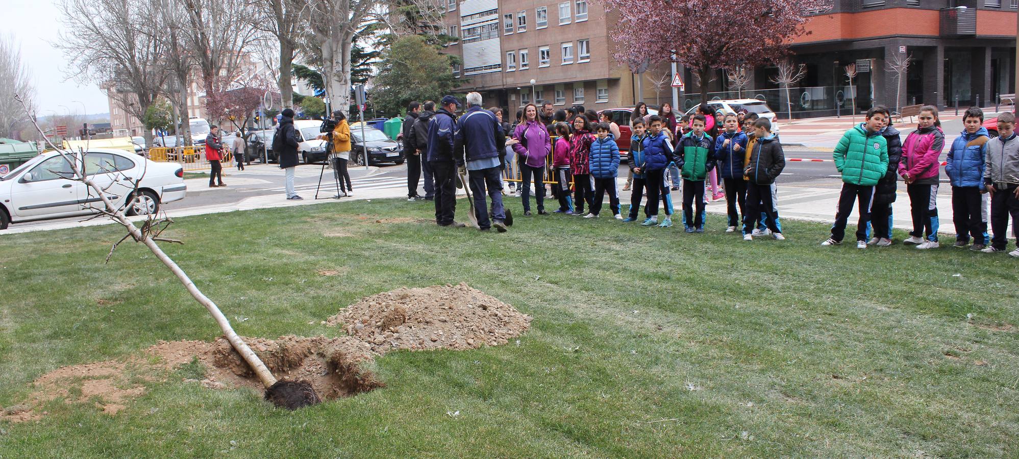 Escolares palentinos celebran el Día del Árbol