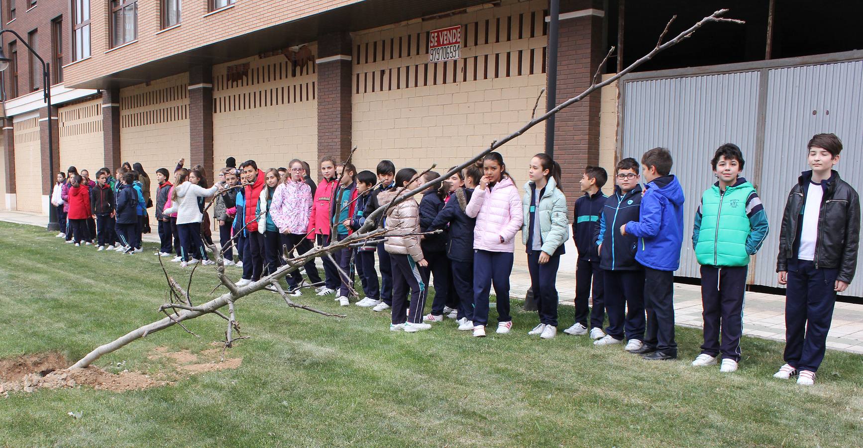 Escolares palentinos celebran el Día del Árbol