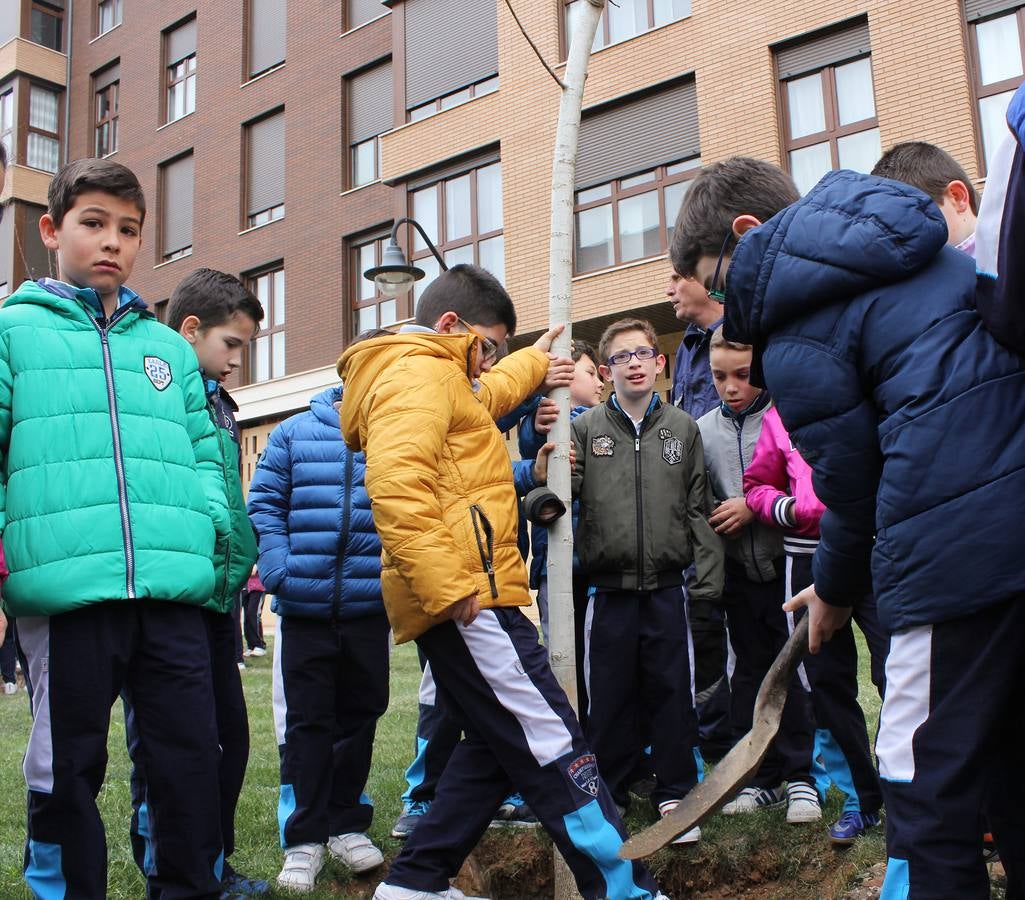 Escolares palentinos celebran el Día del Árbol