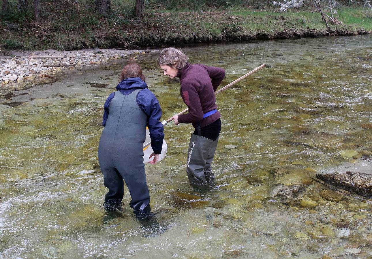 La ministra de Agricultura conmemora el Día Mundial del Agua en Valsaín (Segovia)