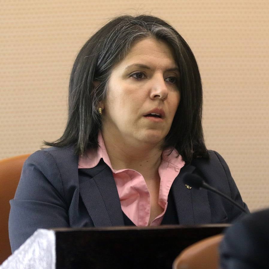 Pleno en la Diputación de Segovia