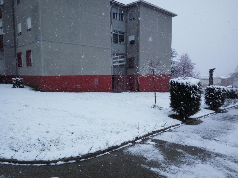 La nieve tiñe de blanco el norte de Palencia