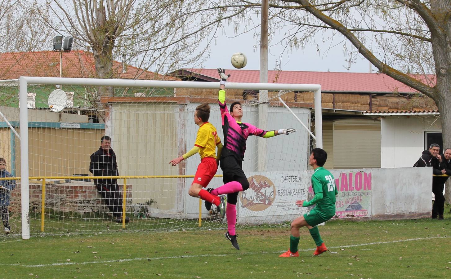 Deporte Base del 25 y 26 de marzo. Palencia (2/4)