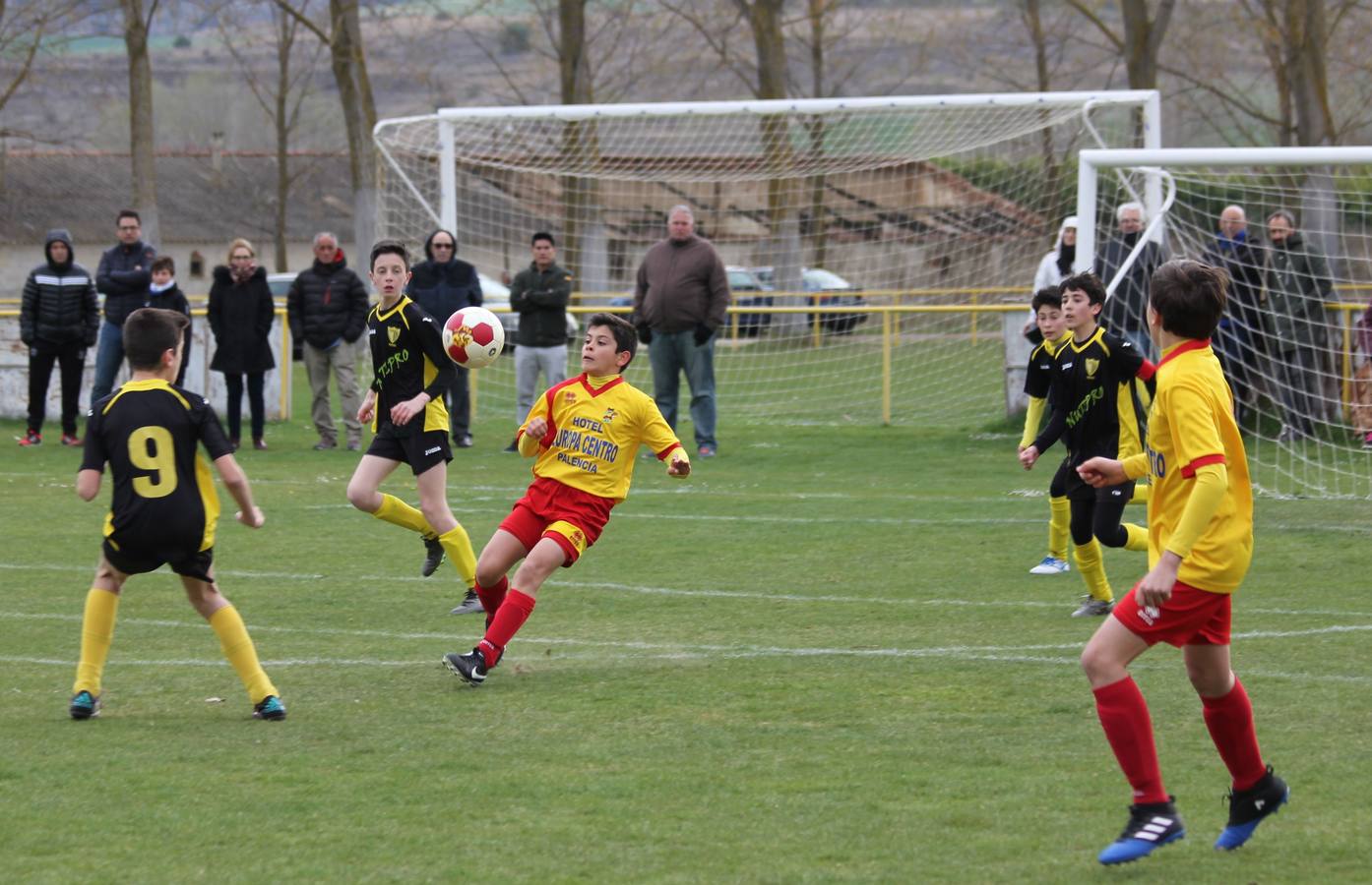 Deporte Base del 25 y 26 de marzo. Palencia (2/4)