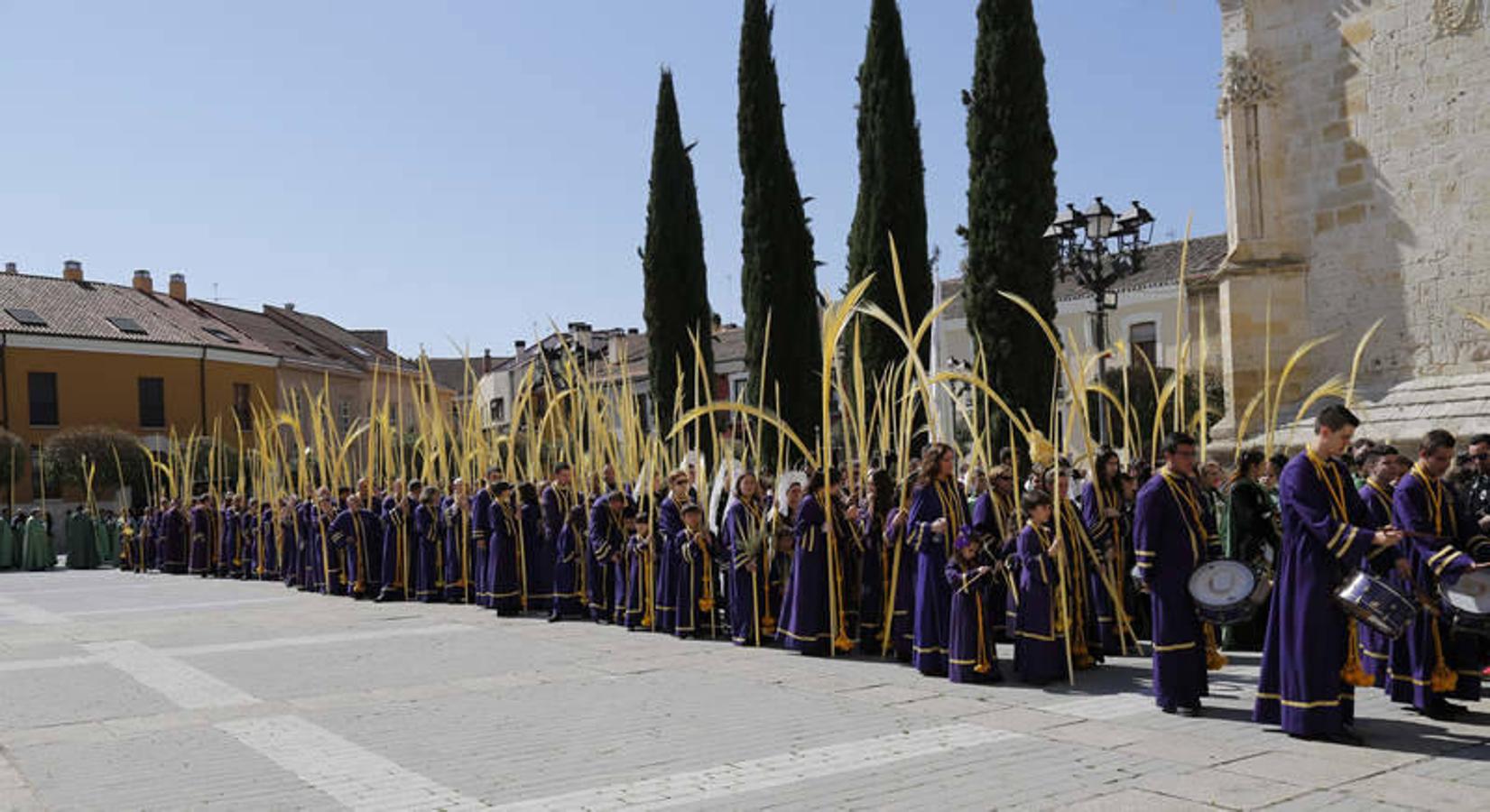 Procesión de La Borriquilla en Palencia (1/2)