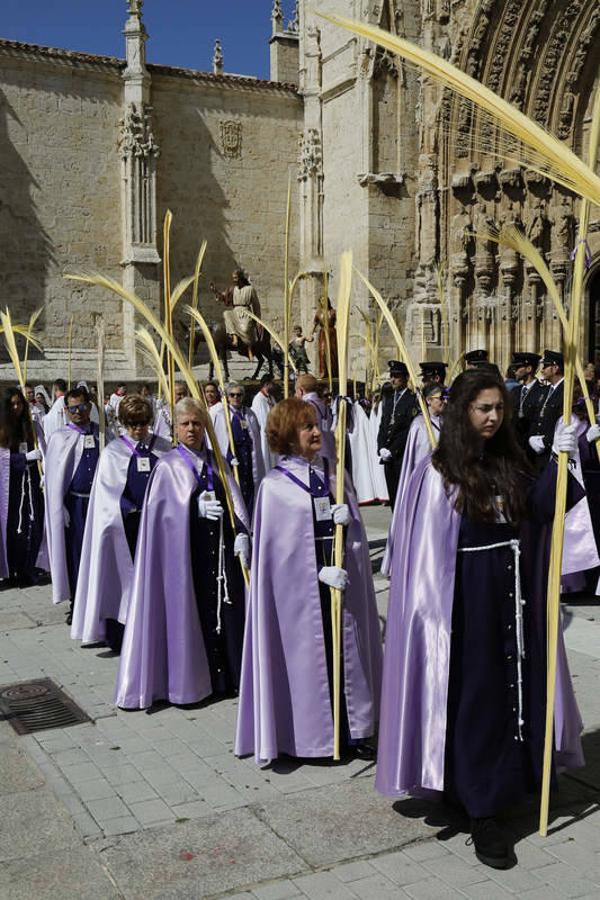 Procesión de La Borriquilla en Palencia (1/2)