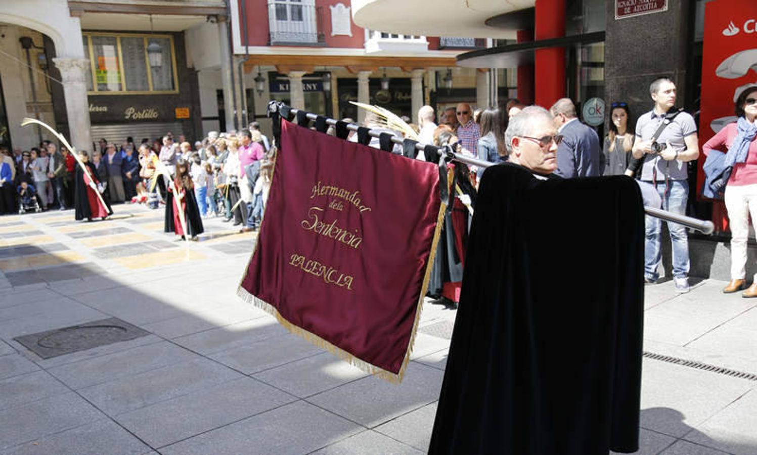 Procesión de La Borriquilla en Palencia (1/2)