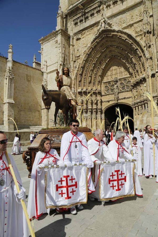 Procesión de La Borriquilla en Palencia (1/2)