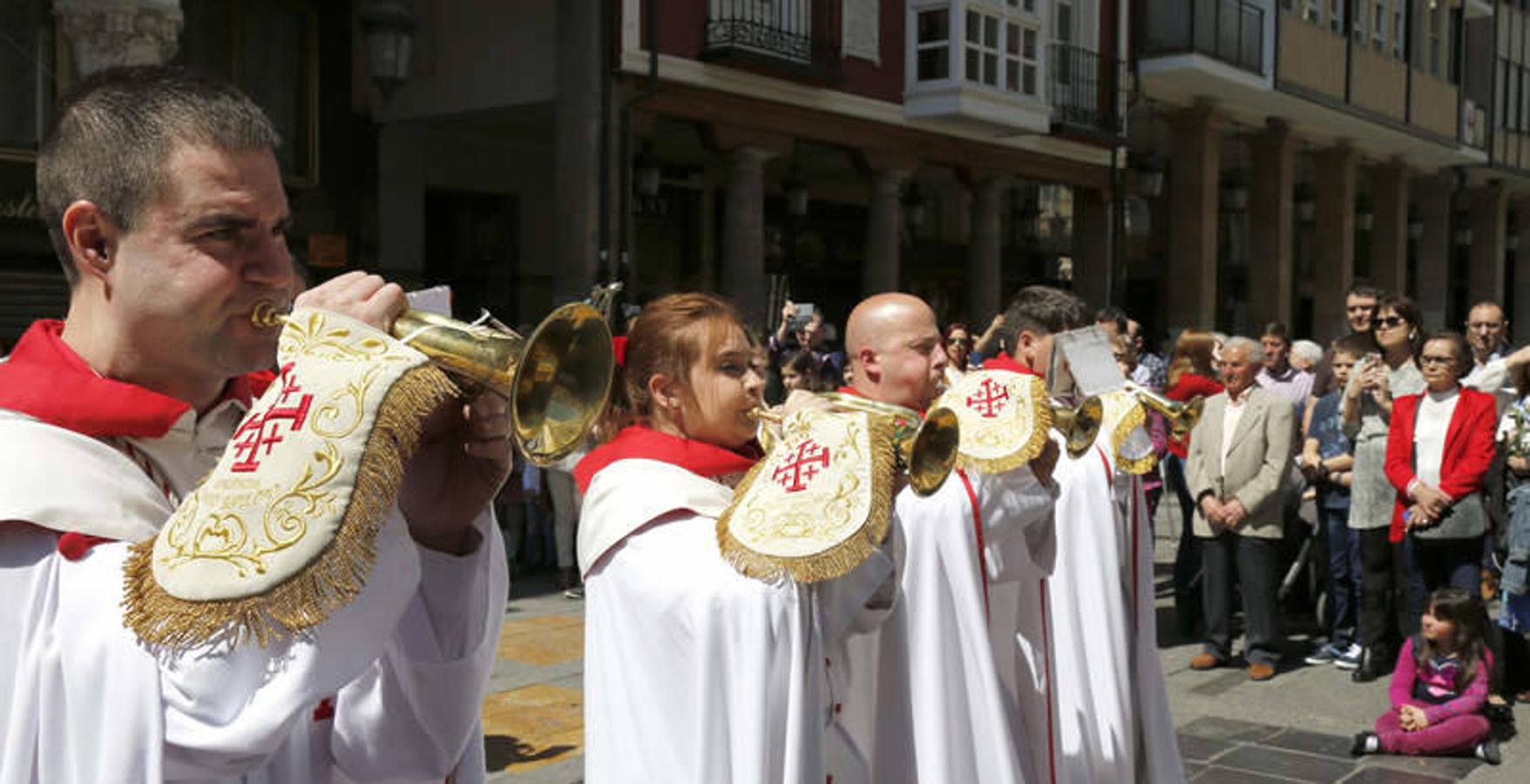Procesión de La Borriquilla en Palencia (2/2)