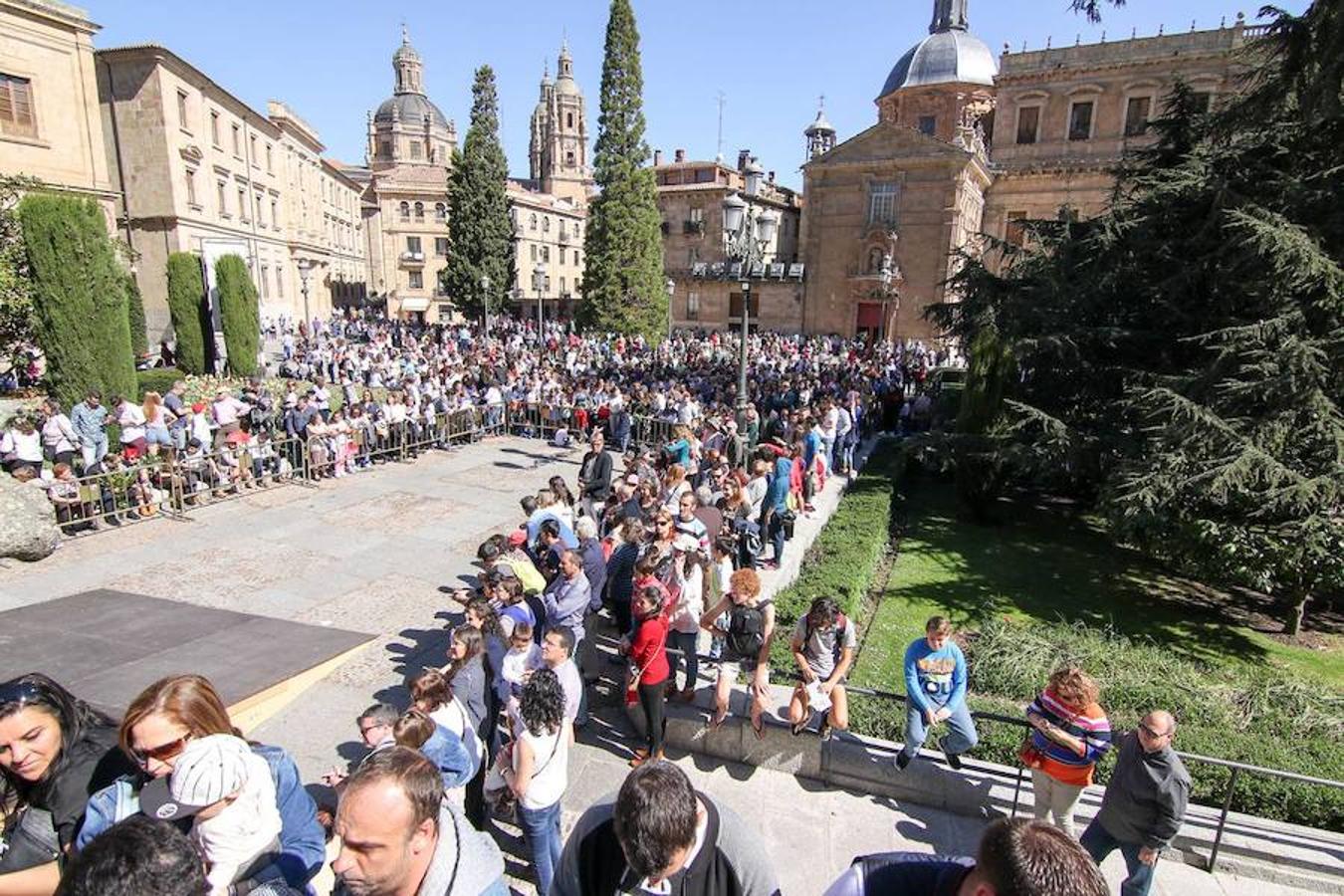 Procesión de la Borriquita en Salamanca