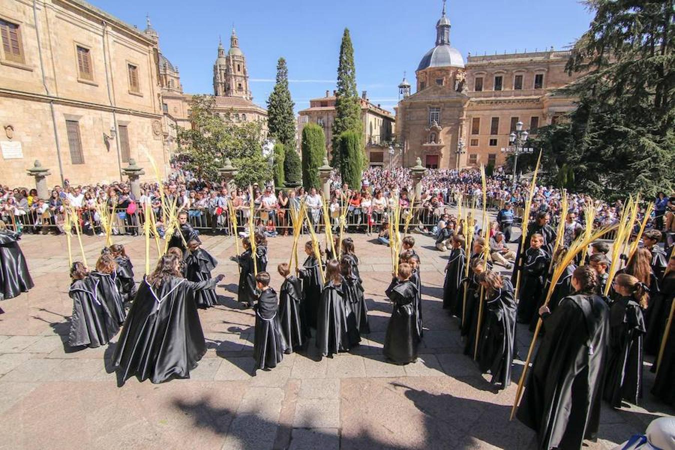 Procesión de la Borriquita en Salamanca