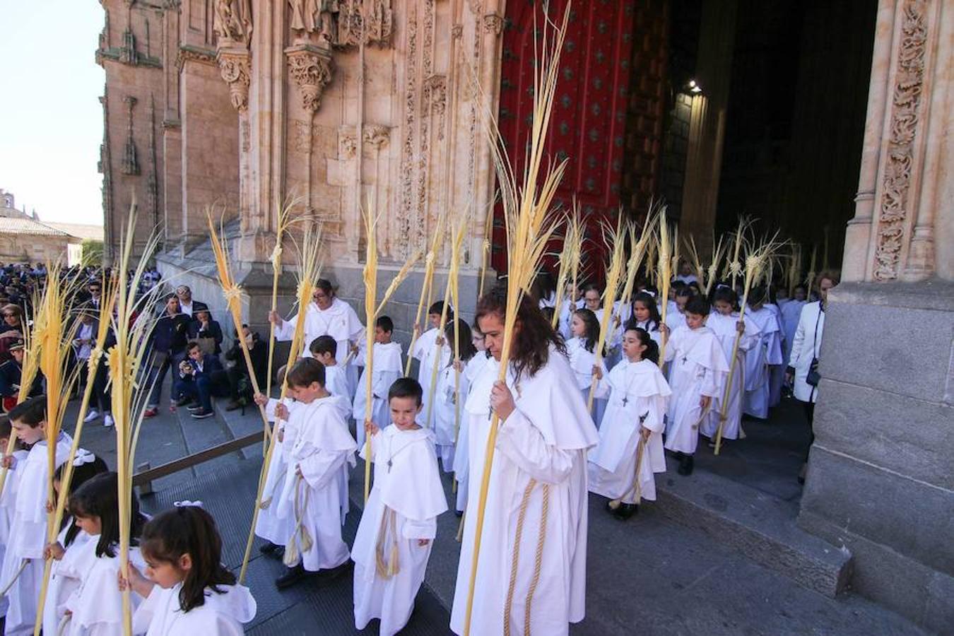 Procesión de la Borriquita en Salamanca