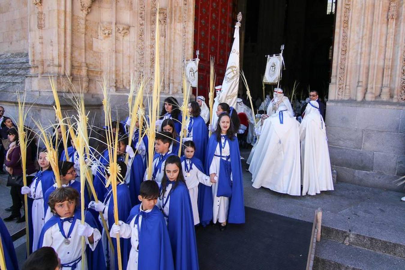 Procesión de la Borriquita en Salamanca