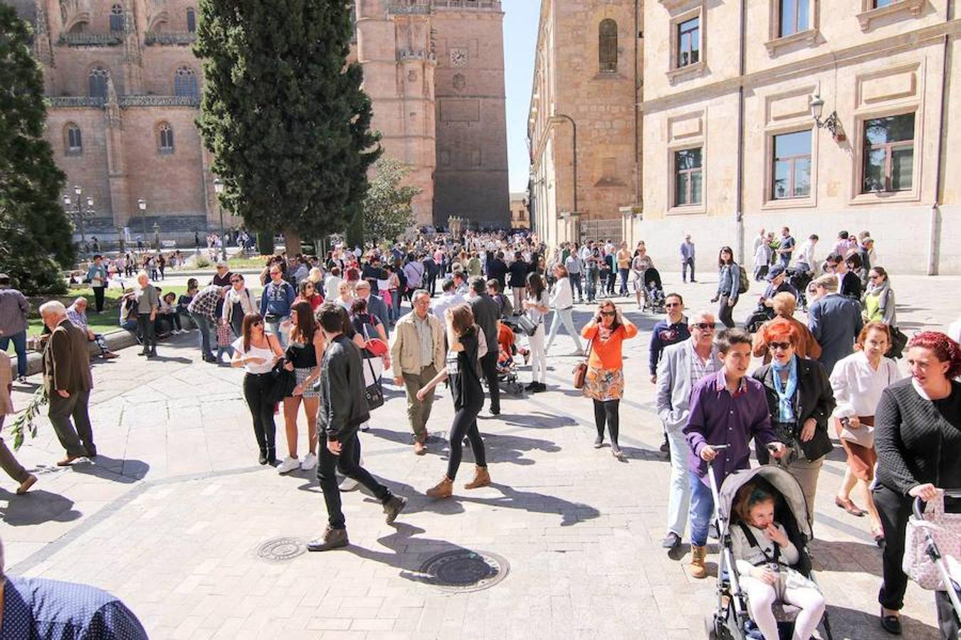 Procesión de la Borriquita en Salamanca