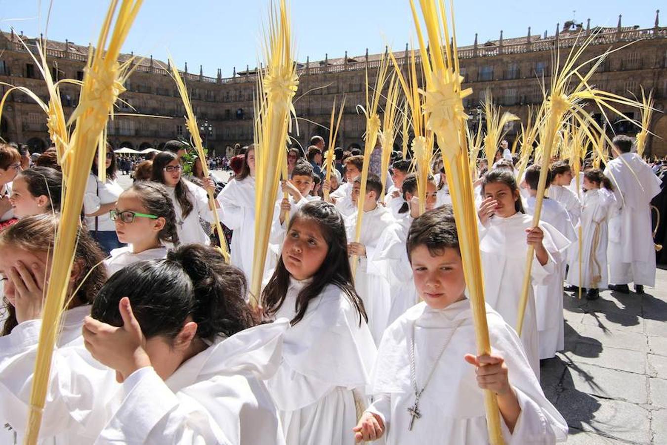 Procesión de la Borriquita en Salamanca