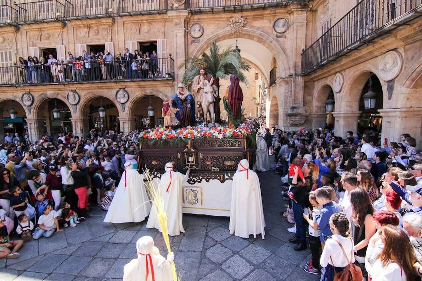 Procesión de la Borriquita en Salamanca