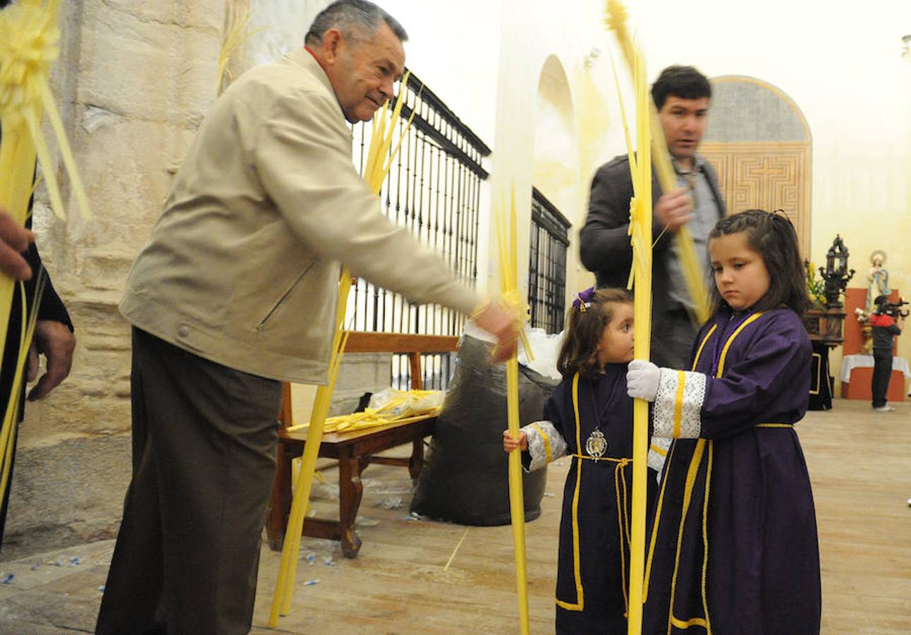 Procesión de La Borriquilla en Medina del Campo