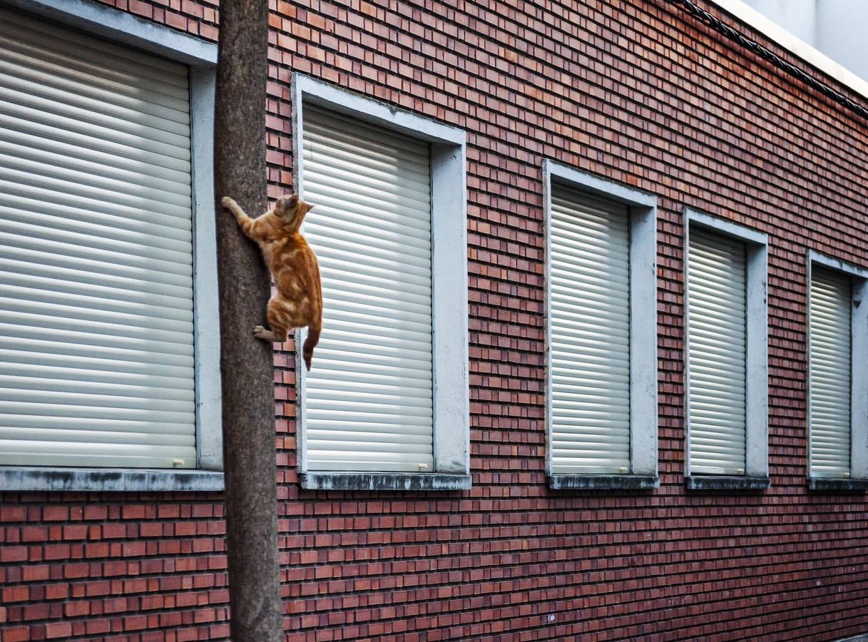 El otro Valladolid (IX): barrio Cuatro de Marzo
