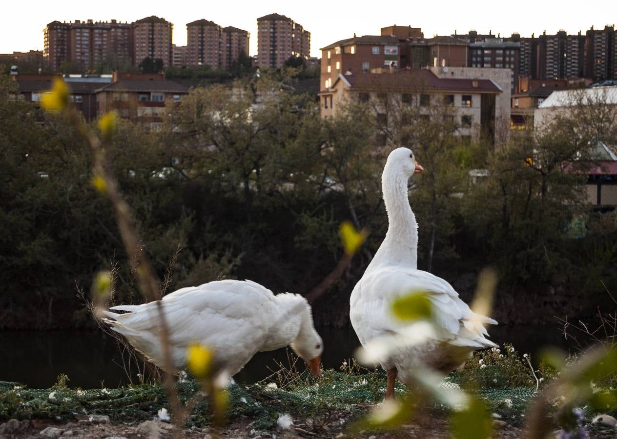 El otro Valladolid (IX): barrio Cuatro de Marzo