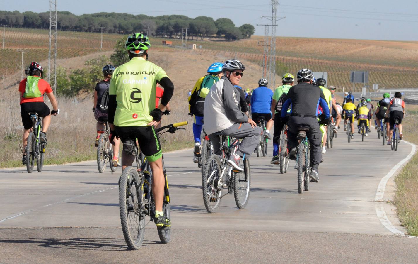 Marcha cicloturista organizada con motivo de la III Feria de Enoturismo de la Ruta del Vino de Rueda