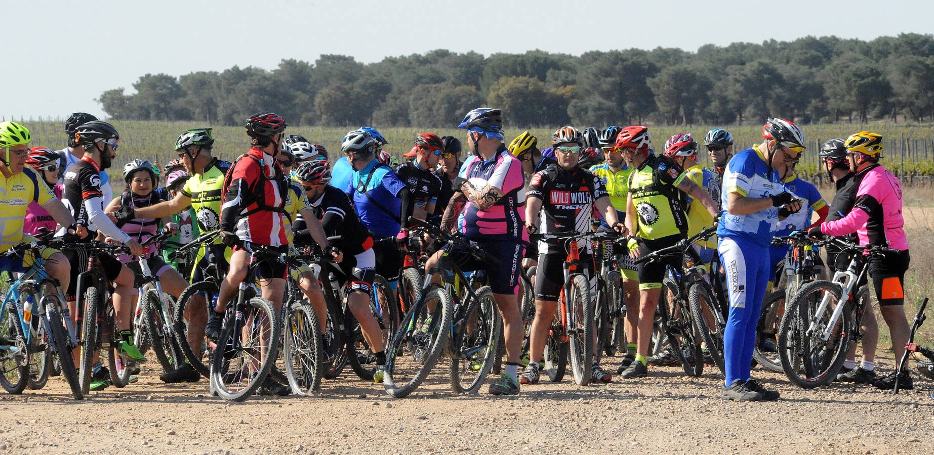 Marcha cicloturista organizada con motivo de la III Feria de Enoturismo de la Ruta del Vino de Rueda