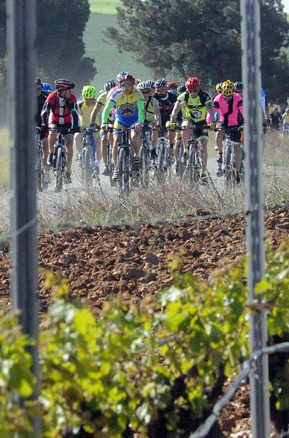 Marcha cicloturista organizada con motivo de la III Feria de Enoturismo de la Ruta del Vino de Rueda