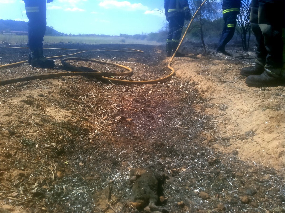 Incendio de maleza en Corcos del Valle.