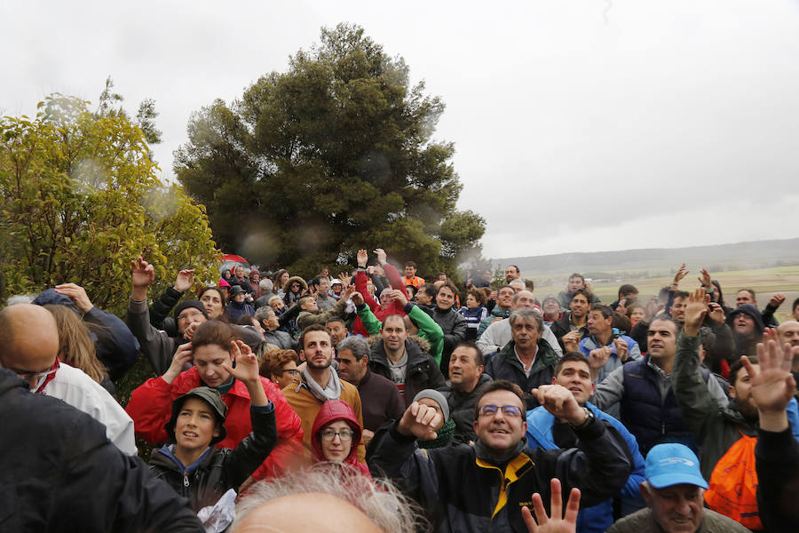 La pedrea del pan y el quesillo en Palencia 2/2