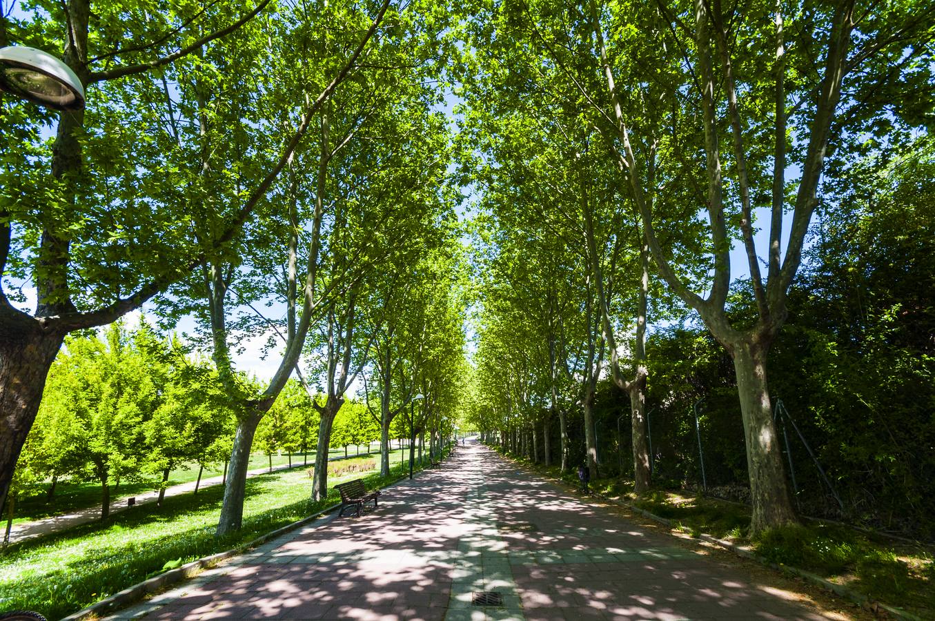 El otro Valladolid (XII): Barrio España