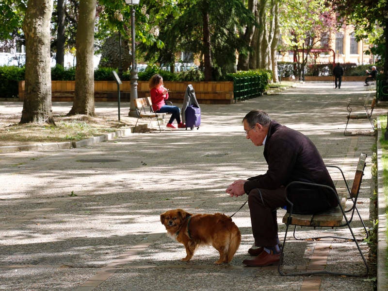 El otro Palencia (VIII): parque de Los Jardinillos