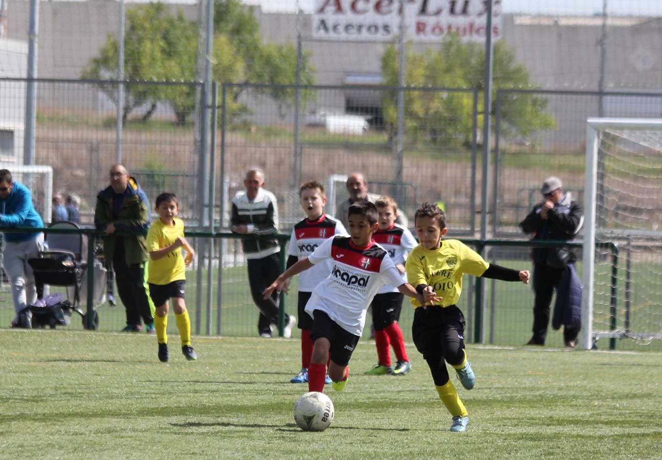 Deporte Base del 29 y 30 de abril. Palencia (2/4)